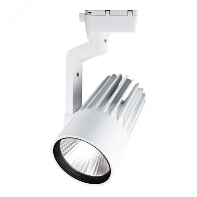 PTR  0140-2 40w 4000K 24° WH (белый) IP40 Jazzway