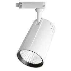 PTR  1725 25w 4000K 24° WH (белый) IP40 Jazzway