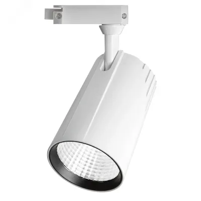 PTR  1732 32w 4000K 24° WH (белый) IP40 Jazzway