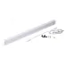 PLED T5i PL  300 4W  FR 6500K 180-265V Jazzway