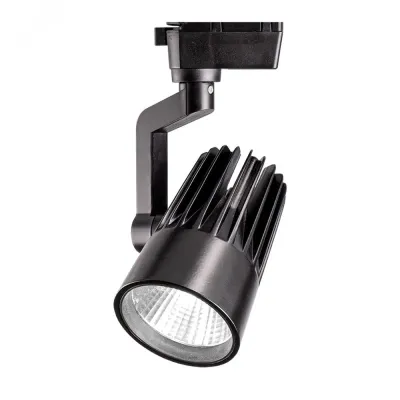 PTR  0130-2 30w 3000K 24° BL (чёрный) IP40 Jazzway