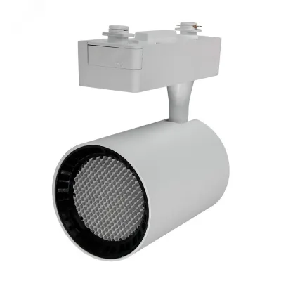 PTR  1325 25w 3000K 24° WH/WH (бел+бел реш) IP40 Jazzway