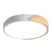 PPB Sсandic-R 90w DIM 3000-6500K WH/W с деревянной планкой IP20 D485*60 Jazzway