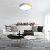 PPB Sсandic-R 90w DIM 3000-6500K WH/W с деревянной планкой IP20 D485*60 Jazzway