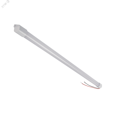 PLED T4i   600  9W 4000K IP65