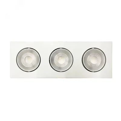 PSP-S 413  3x8W 4000K 40° White IP40