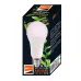 Лампа светодиодная LED 15Вт A60 Е27 прозрачная ( для растений)