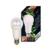 Лампа светодиодная LED 15Вт A60 Е27 прозрачная ( для растений)