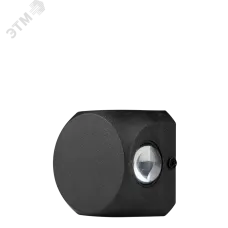 Светильник архитектурный фасадный светодиодный PWL-07565/80D 2x2w 4000K BL IP54 черный