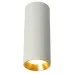 Светильник потолочный MR11 35W 230V,  белый + золото, ML101