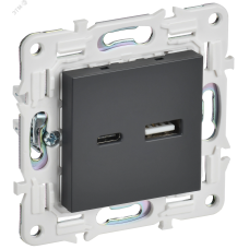 SKANDY Розетка USB A+C 18Вт SK-R13T титан IEK