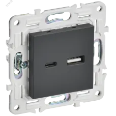 SKANDY Розетка USB A+C 18Вт SK-R13T титан IEK