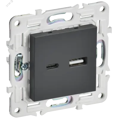 SKANDY Розетка USB A+C 18Вт SK-R13T титан IEK