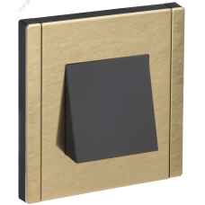 FORTE&PIANO Вывод кабеля FP642M металл шампань IEK