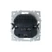 BRITE Розетка с заземлением с защитными шторками 16А с USB A+C 18Вт РЮш11-1-БрС сталь