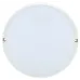 Светильник LED ДПО 2011Д 12Вт IP54 4000К круг белый с АД IEK Светильник LED ДПО 2011Д 12Вт IP54 4000К круг белый с АД IEK