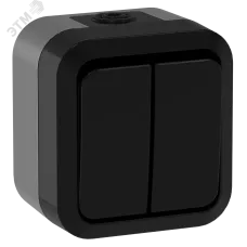 TORS Выключатель двухклавишный проходной 10А IP55 TS125 графит IEK