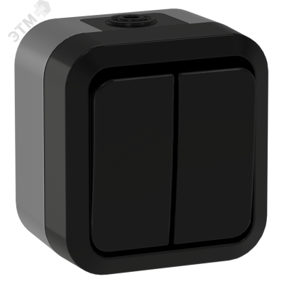 TORS Выключатель двухклавишный проходной 10А IP55 TS125 графит IEK