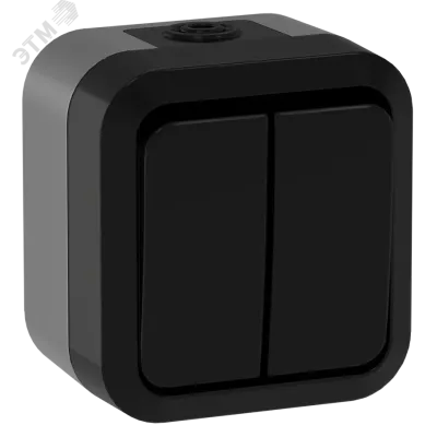 TORS Выключатель двухклавишный проходной 10А IP55 TS125 графит IEK