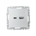 BRITE Розетка USB A+C 18Вт РЮ11-1-БрА алюминий