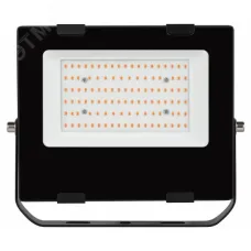 Фитопрожектор для растений светодиодный ЭРА FITO-100W-RB-LED для цветения и плодоношения красно-синего спектра 100 Вт