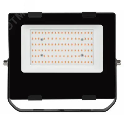 Фитопрожектор для растений светодиодный ЭРА FITO-100W-RB-LED для цветения и плодоношения красно-синего спектра 100 Вт