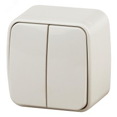 3-104-02 Intro Выключатель двойной, 10А-250В, IP20, ОУ, Polo, сл.кость (18/360/4320)