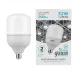 Лампа Gauss Elementary T100 32W 2700lm 6500K E27 LED 1/20
