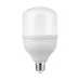 Лампа Gauss Elementary T100 32W 2700lm 6500K E27 LED 1/20