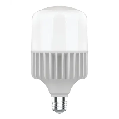 Лампа Gauss Elementary T140 80W 7200lm 6500K E40 LED 1/8