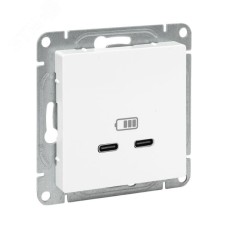 Эпика Механизм розетки USB-C - 2шт белый EKF