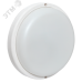Светильник светодиодный ЖКХ круг ДПО-1005 18Вт 6500K IP65 LUMA