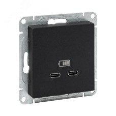 Эпика Механизм розетки USB-C - 2шт черный EKF