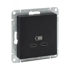 Эпика Механизм розетки USB-C - 2шт черный EKF