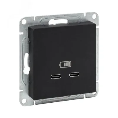 Эпика Механизм розетки USB-C - 2шт черный EKF