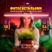 Светильник для растений фитолампа светодиодная линейная ФИТО-18W-PFR-GR полного спектра 18 Вт GREEN LINE