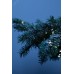 Корпус пластиковый навесной ЭРА SIMPLE КМПн 1/2 IP30 прозрачная крышка белый
