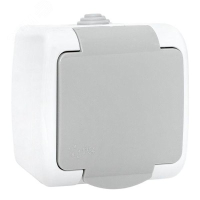 Розетка 1-местная Мурманск 16А с заземлением с крышкой IP54 серый с защитными шторками