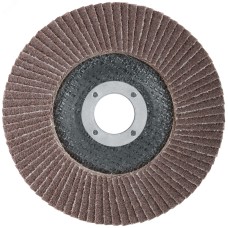 Круг лепестковый торцевой Cutop Profi (80 лепестков) 125x22.2 мм, Р40