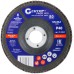 Круг лепестковый торцевой Cutop Profi (80 лепестков) 125x22.2 мм, Р40