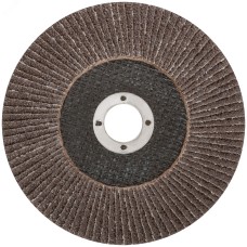 Круг лепестковый торцевой Cutop Profi (96 лепестков) 150x22.2 мм, Р36