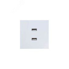 ZIMA Розетка 2-ая USB, механизм, белая Lezard 704-0288-192