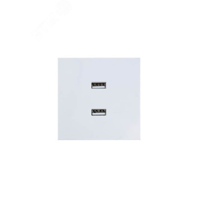 ZIMA Розетка 2-ая USB, механизм, белая Lezard 704-0288-192