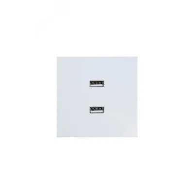 ZIMA Розетка 2-ая USB, механизм, белая Lezard 704-0288-192
