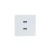 ZIMA Розетка 2-ая USB, механизм, белая Lezard 704-0288-192