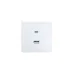 ZIMA Розетка TC+ USB, механизм, белая Lezard 704-0288-192TC ZIMA Розетка TC+ USB, механизм, белая Lezard 704-0288-192TC