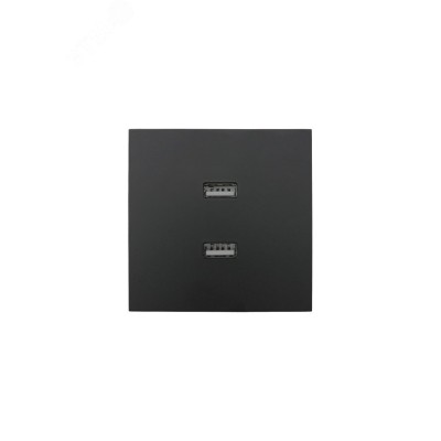 ZIMA Розетка с 2-ая USB, механизм, черный бархат Lezard 704-4288-192