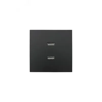 ZIMA Розетка с 2-ая USB, механизм, черный бархат Lezard 704-4288-192