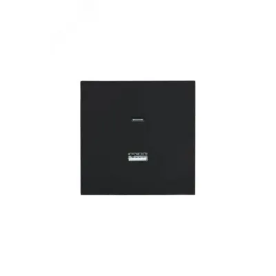 ZIMA Розетка TC+ USB, механизм, черный бархат Lezard 704-4288-192TC