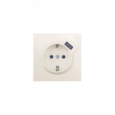 ZIMA Розетка с заземлением (16 А) + USB ,механизм, слоновая кость Lezard 704-9088-181